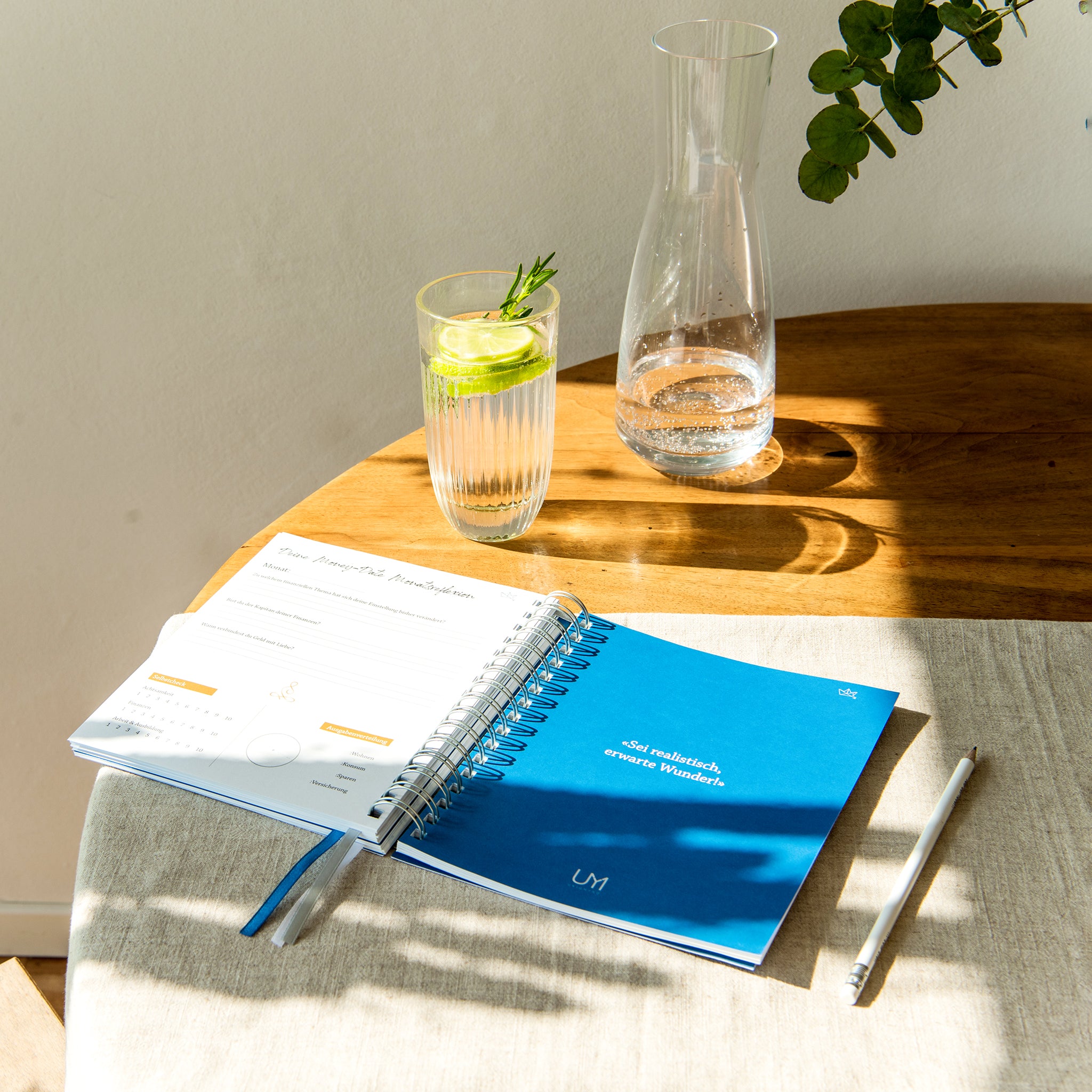MONEY Mindset Journal - UNIQMYND