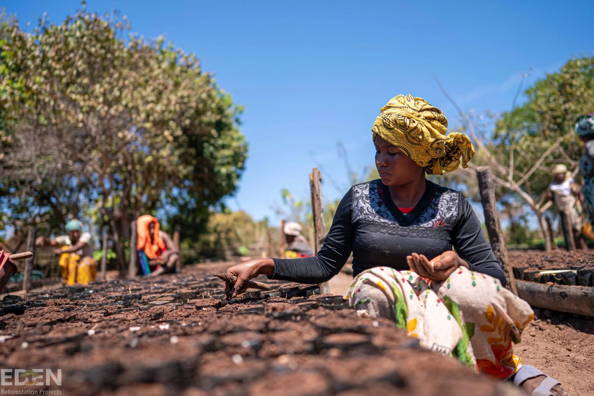 2 Additional Trees Planted - UNIQMYND