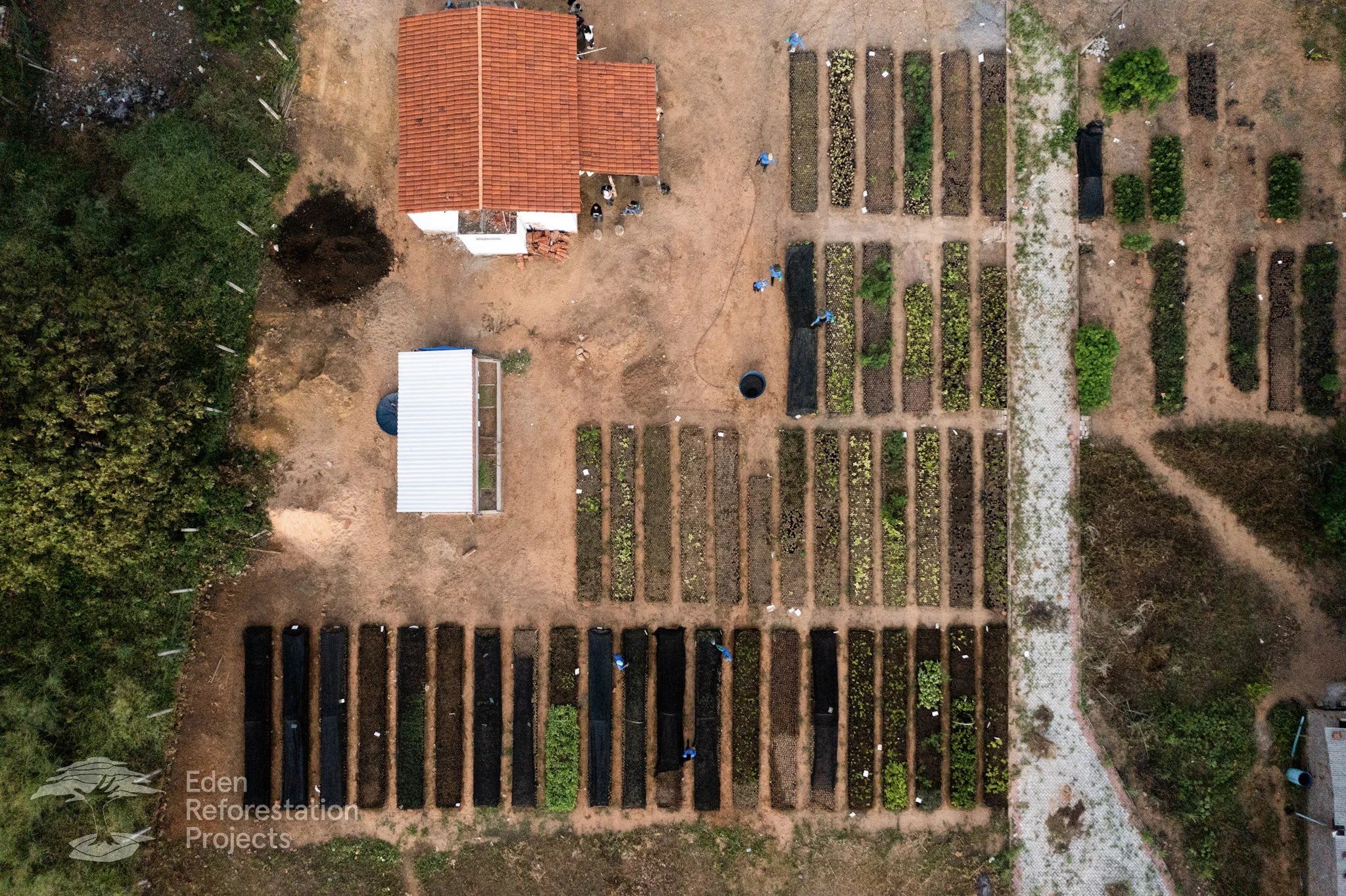 2 Additional Trees Planted - UNIQMYND